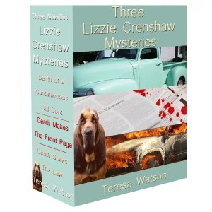 Lizzie box set cover